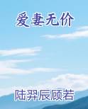 爱妻物语