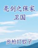亮剑之保家卫国