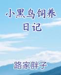 小黑鸟怎么养