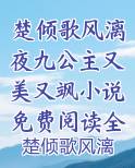 楚倾歌风漓夜小说大结局995章