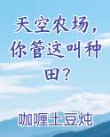 天空农场，你管这叫种田？笔趣阁