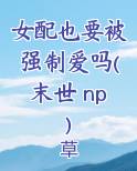 女配也要被强制爱吗(末世 np)